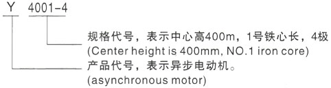 西安泰富西玛Y系列(H355-1000)高压芦淞三相异步电机型号说明